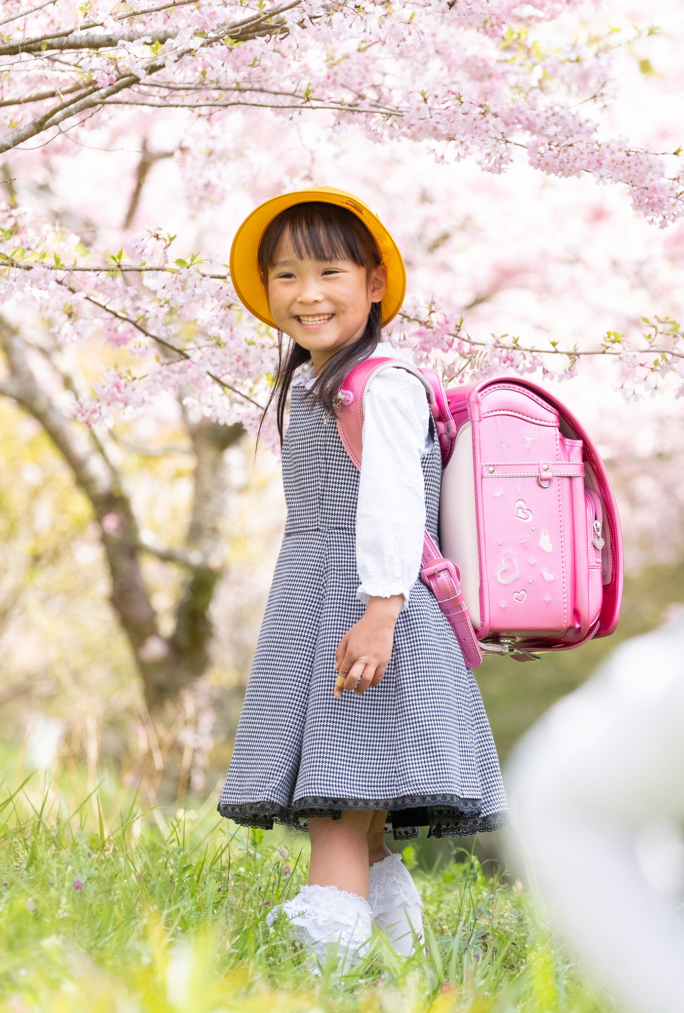 桜を背景に 女の子 入学記念