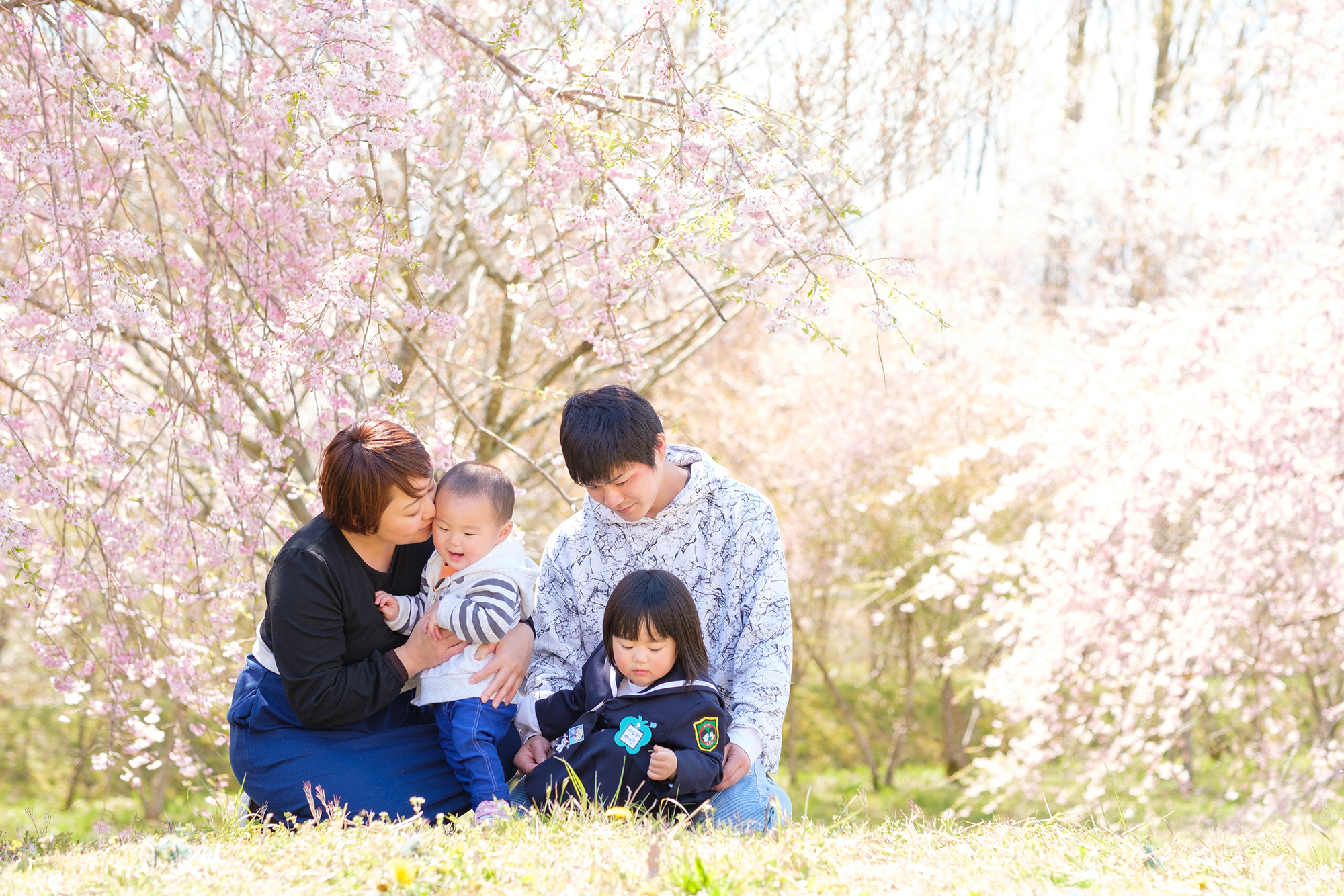 桜と家族写真03