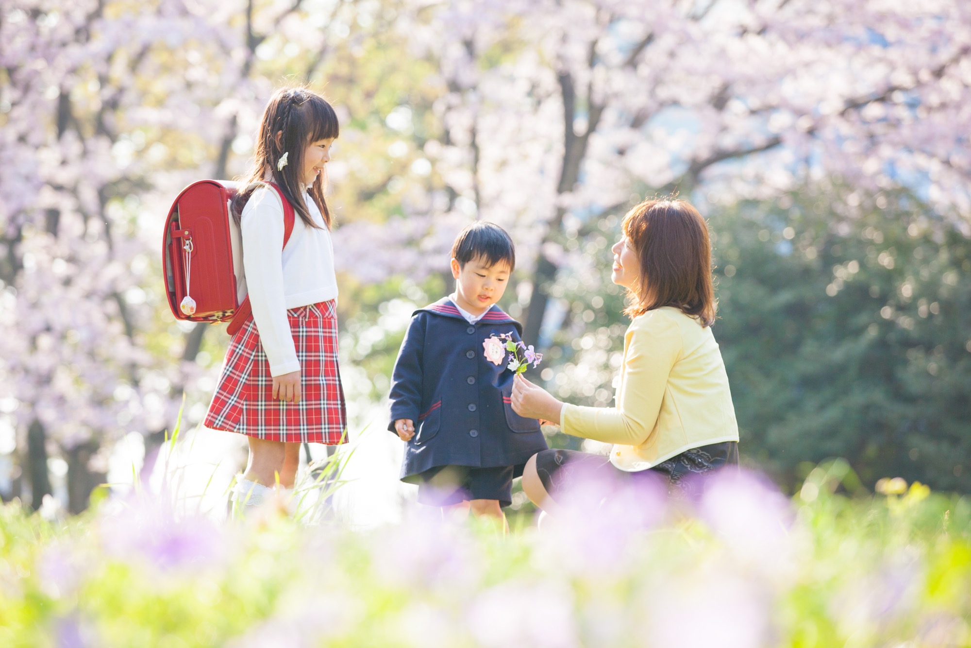 桜と家族写真04
